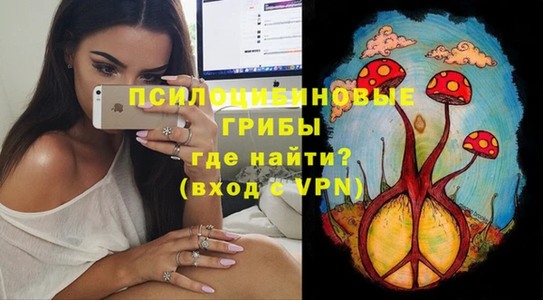 хмурый Балахна