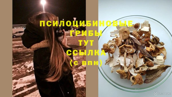 трава Арсеньев