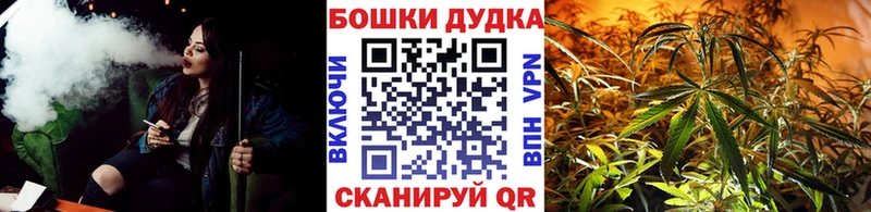 Конопля Bruce Banner  МЕГА   Туран 